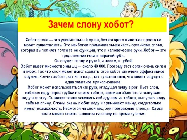 Хобот слона — это удивительный орган, без которого животное просто не может