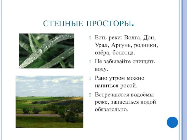 СТЕПНЫЕ ПРОСТОРЫ. Есть реки: Волга, Дон, Урал, Аргунь, родники, озёра, болотца. Не