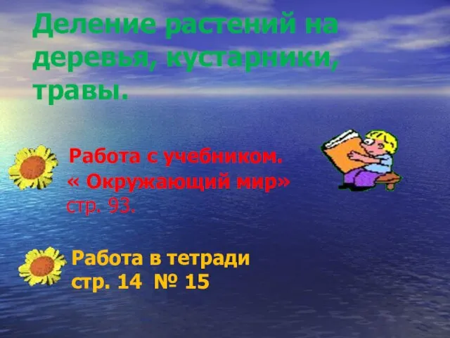 Деление растений на деревья, кустарники, травы. Работа с учебником. « Окружающий мир»