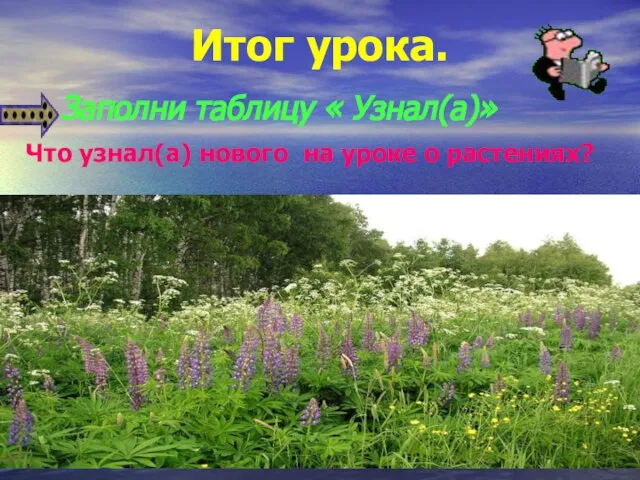 Итог урока. Заполни таблицу « Узнал(а)» Что узнал(а) нового на уроке о растениях?