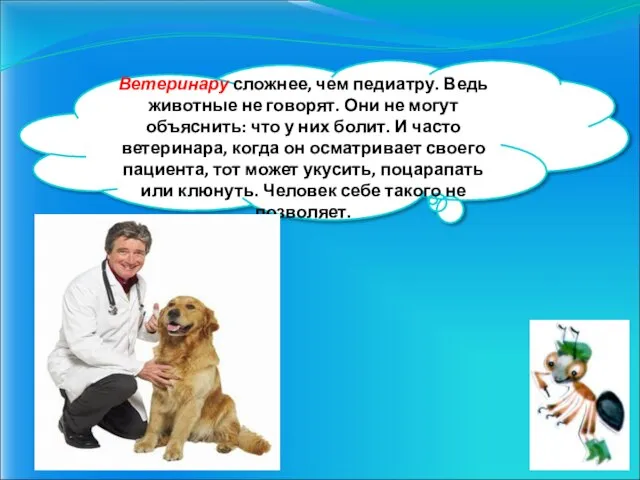 Ветеринару сложнее, чем педиатру. Ведь животные не говорят. Они не могут объяснить: