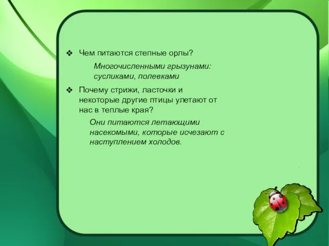 Чем питаются степные орлы? Почему стрижи, ласточки и некоторые другие птицы улетают