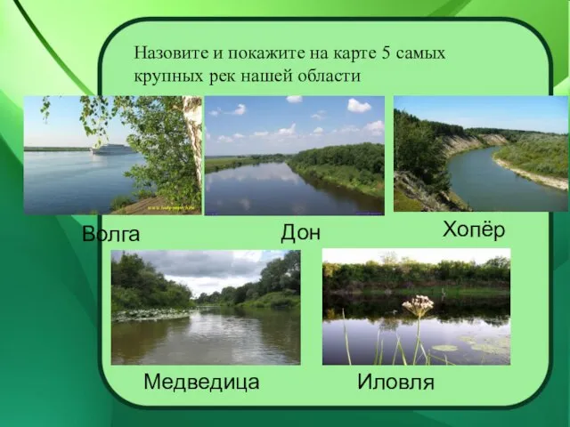 Назовите и покажите на карте 5 самых крупных рек нашей области Волга Дон Хопёр Медведица Иловля