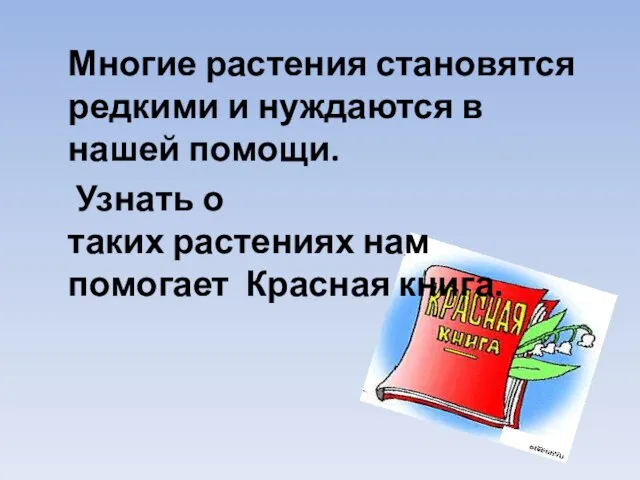 Многие растения становятся редкими и нуждаются в нашей помощи. Узнать о таких