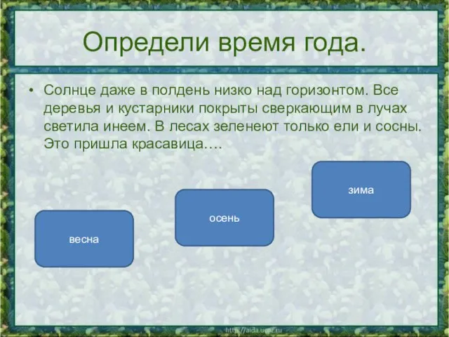 Определи время года. Солнце даже в полдень низко над горизонтом. Все деревья