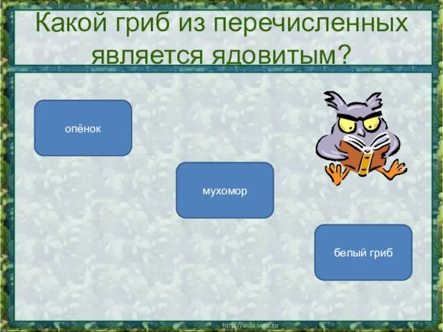 Какой гриб из перечисленных является ядовитым? мухомор опёнок белый гриб