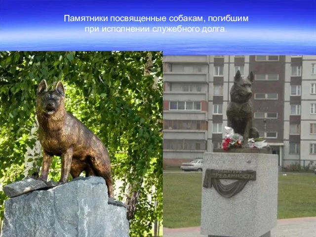 . Памятники посвященные собакам, погибшим при исполнении служебного долга.