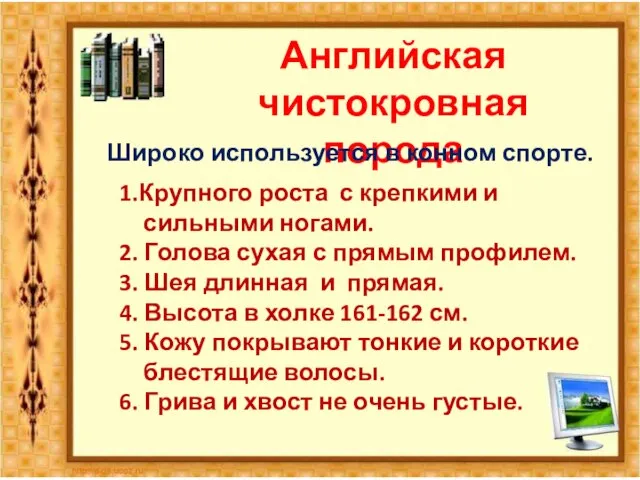 Английская чистокровная порода Широко используется в конном спорте. 1.Крупного роста с крепкими