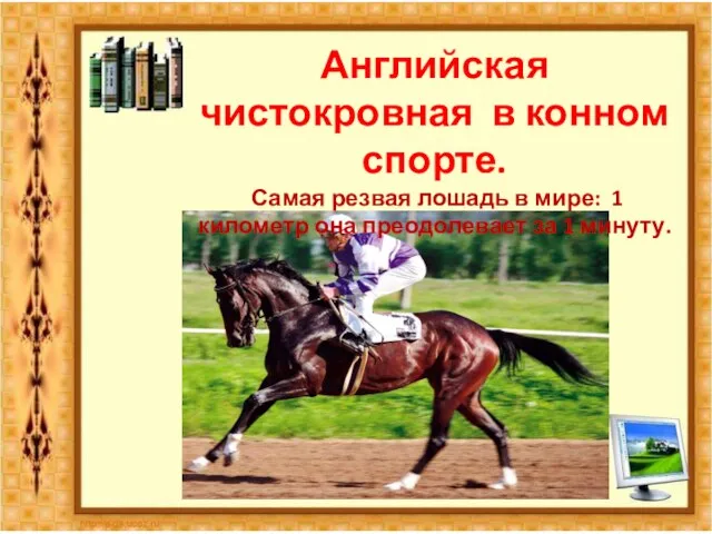 Английская чистокровная в конном спорте. Самая резвая лошадь в мире: 1 километр