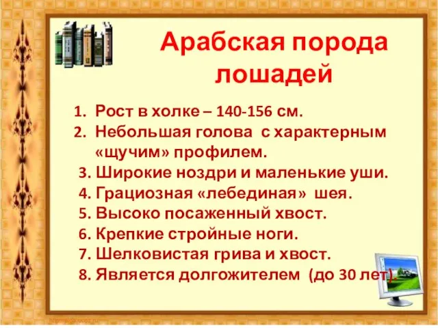 Арабская порода лошадей Рост в холке – 140-156 см. Небольшая голова с