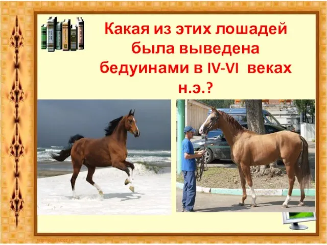 Какая из этих лошадей была выведена бедуинами в IV-VI веках н.э.?