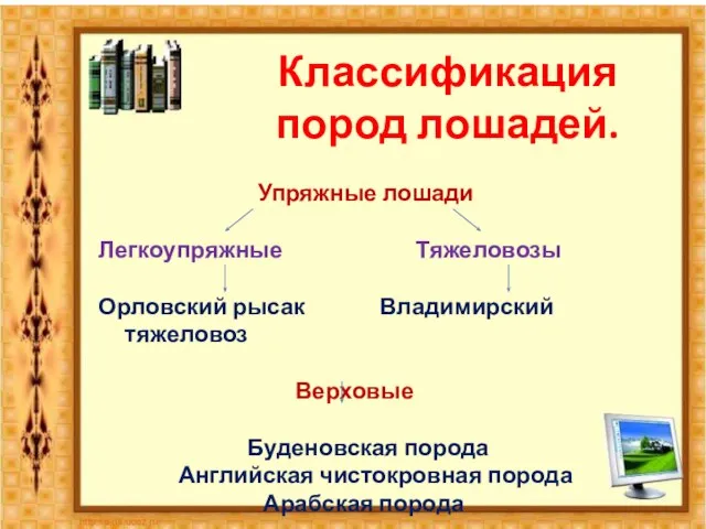 Классификация пород лошадей. Упряжные лошади Легкоупряжные Тяжеловозы Орловский рысак Владимирский тяжеловоз Верховые