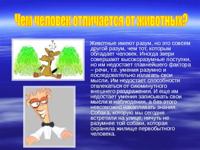 Животные имеют разум, но это совсем другой разум, чем тот, которым обладает