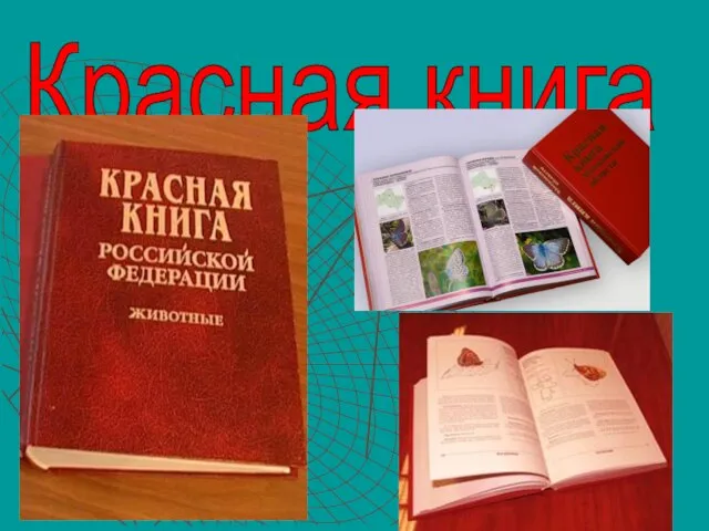 Красная книга