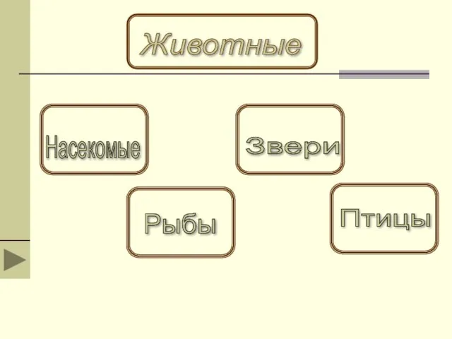 Животные Насекомые Рыбы Звери Птицы