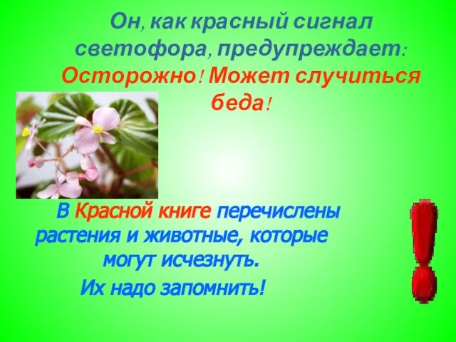 Он, как красный сигнал светофора, предупреждает: Осторожно! Может случиться беда! В Красной