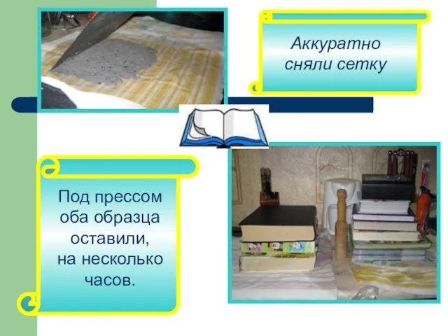 Аккуратно сняли сетку Под прессом оба образца оставили, на несколько часов.