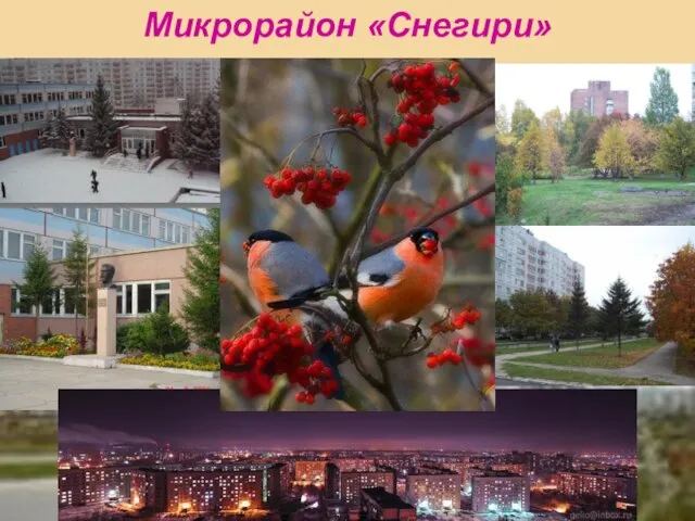 Микрорайон «Снегири»