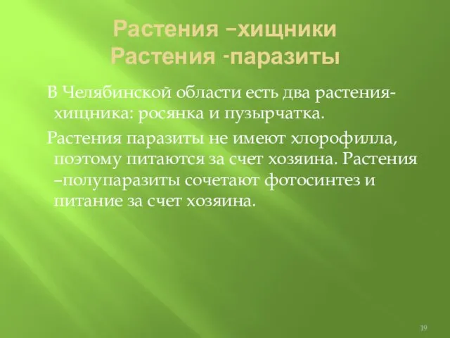 Растения –хищники Растения -паразиты В Челябинской области есть два растения-хищника: росянка и