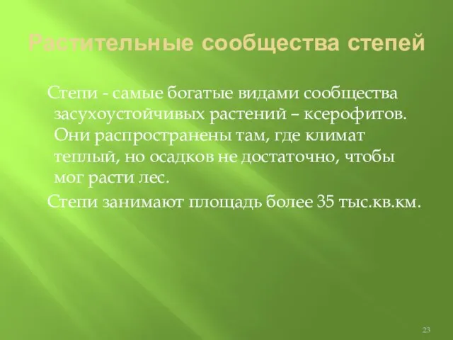 Растительные сообщества степей Степи - самые богатые видами сообщества засухоустойчивых растений –