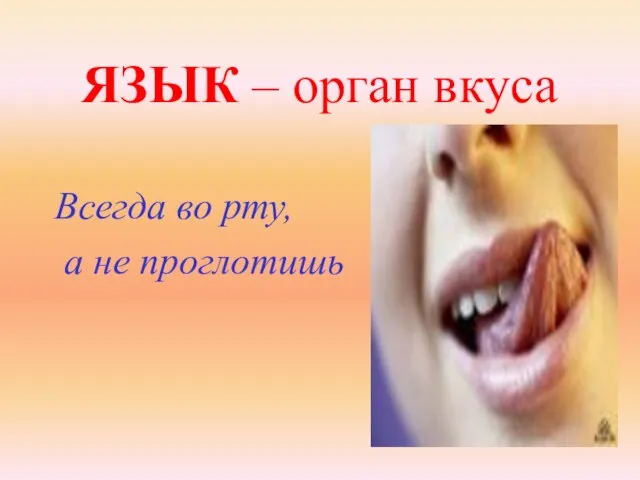 ЯЗЫК – орган вкуса Всегда во рту, а не проглотишь
