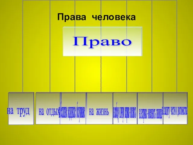 Права человека Право на труд на отдых на бесплатное медицинское обслуживание на