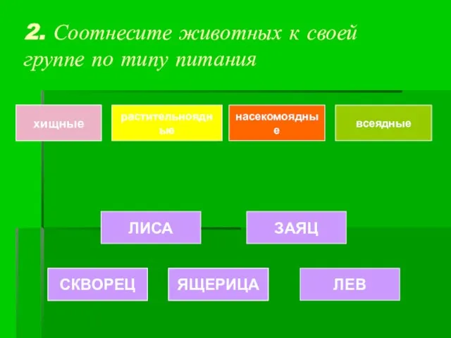 2. Соотнесите животных к своей группе по типу питания хищные растительноядные насекомоядные