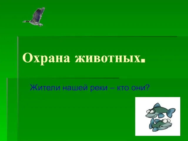 Охрана животных. Жители нашей реки – кто они?