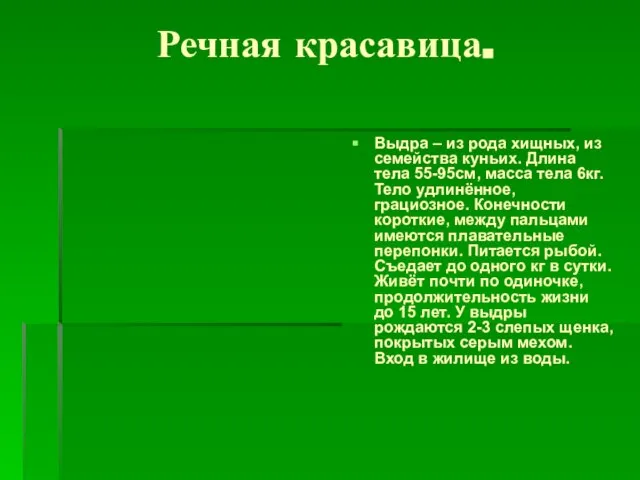 Речная красавица. Выдра – из рода хищных, из семейства куньих. Длина тела