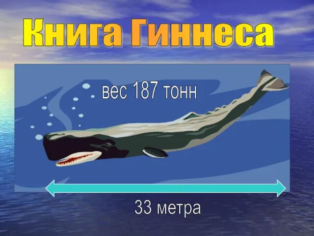 Книга Гиннеса 33 метра вес 187 тонн