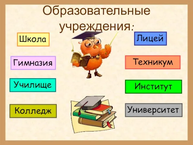 Образовательные учреждения: