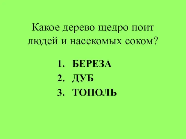 Какое дерево щедро поит людей и насекомых соком? БЕРЕЗА ДУБ ТОПОЛЬ