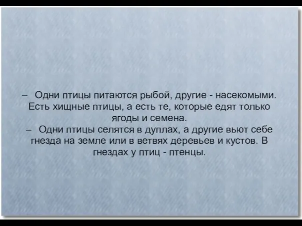 – Одни птицы питаются рыбой, другие - насекомыми. Есть хищные птицы, а