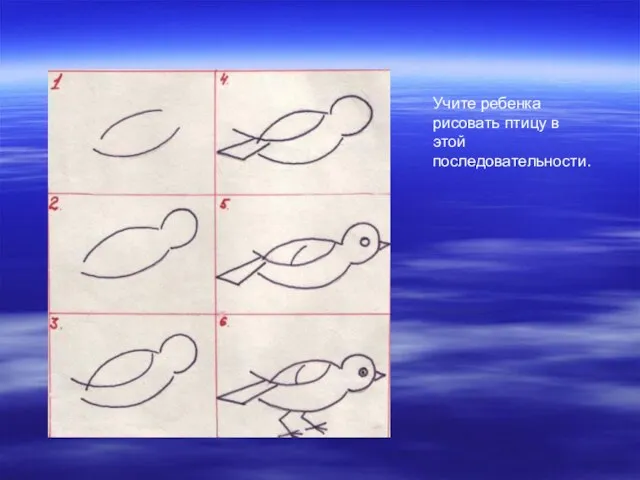 Учите ребенка рисовать птицу в этой последовательности.