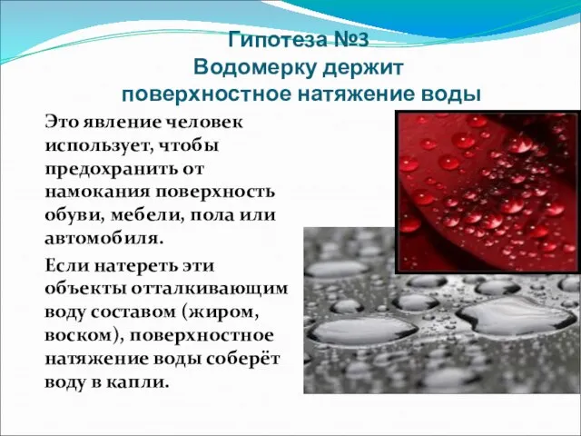 Гипотеза №3 Водомерку держит поверхностное натяжение воды Это явление человек использует, чтобы