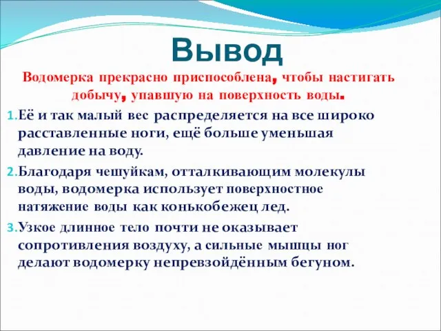 Вывод Водомерка прекрасно приспособлена, чтобы настигать добычу, упавшую на поверхность воды. Её