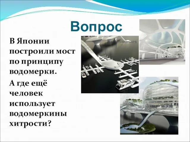 Вопрос В Японии построили мост по принципу водомерки. А где ещё человек использует водомеркины хитрости?