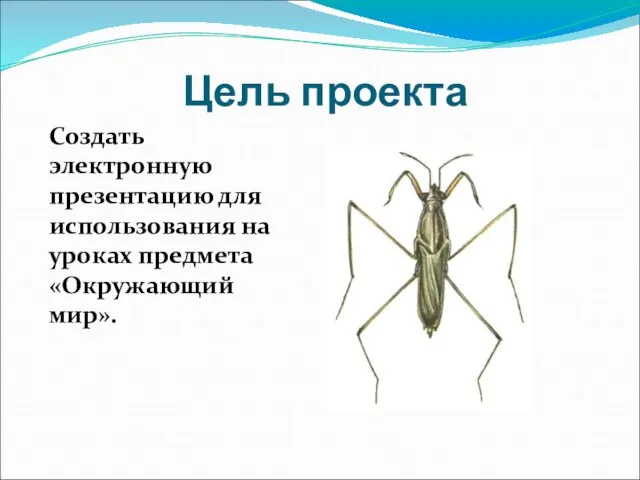 Цель проекта Создать электронную презентацию для использования на уроках предмета «Окружающий мир».