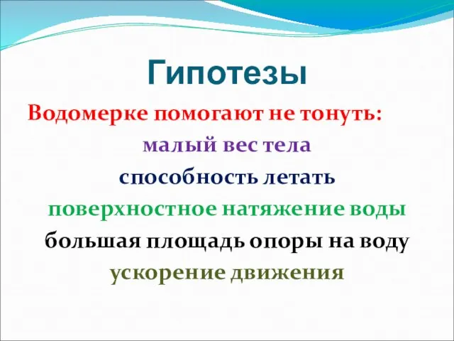 Гипотезы Водомерке помогают не тонуть: малый вес тела способность летать поверхностное натяжение