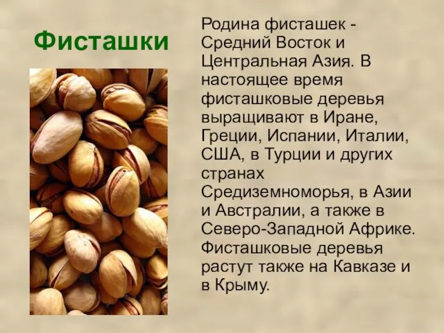 Фисташки Родина фисташек - Средний Восток и Центральная Азия. В настоящее время