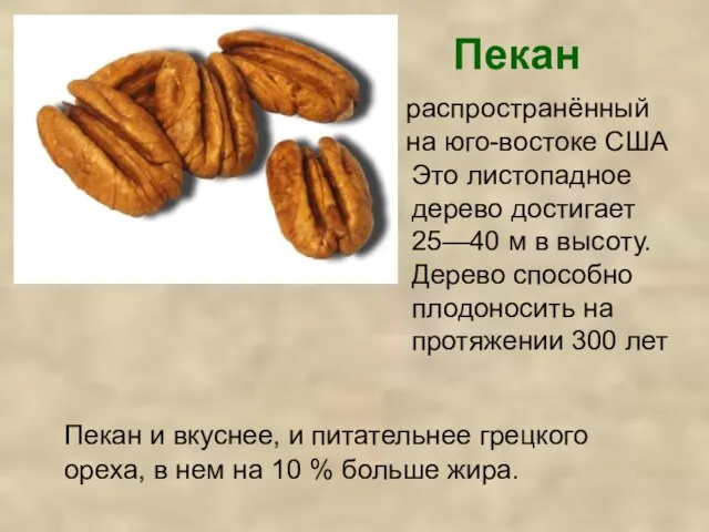 Пекан Пекан и вкуснее, и питательнее грецкого ореха, в нем на 10