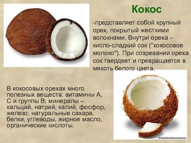 Кокос В кокосовых орехах много полезных веществ: витамины А, С и группы