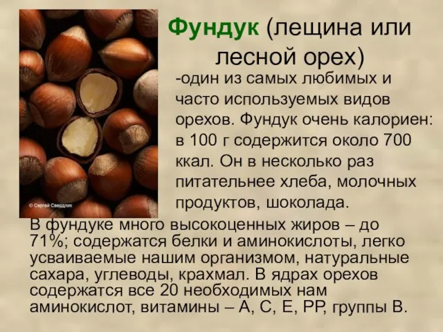 Фундук (лещина или лесной орех) В фундуке много высокоценных жиров – до