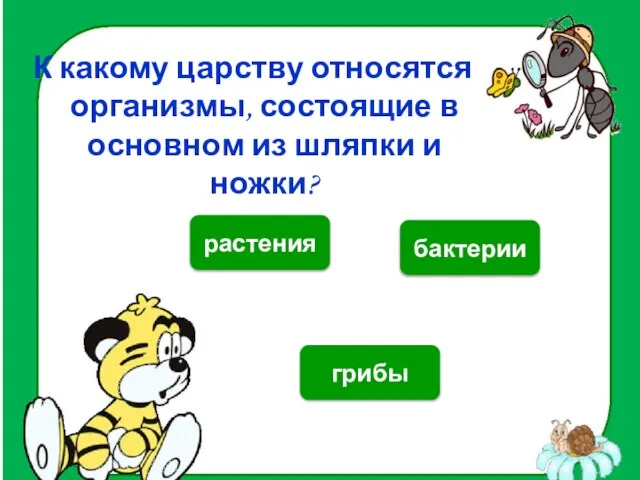 К какому царству относятся организмы, состоящие в основном из шляпки и ножки? грибы растения бактерии