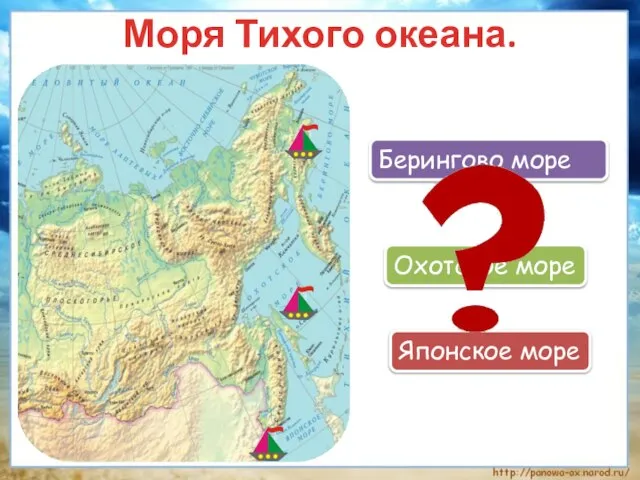 Моря Тихого океана. Берингово море Японское море Охотское море