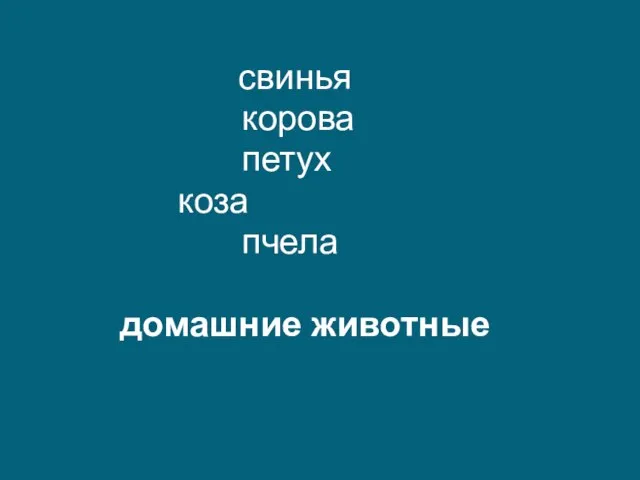 свинья корова петух коза пчела домашние животные