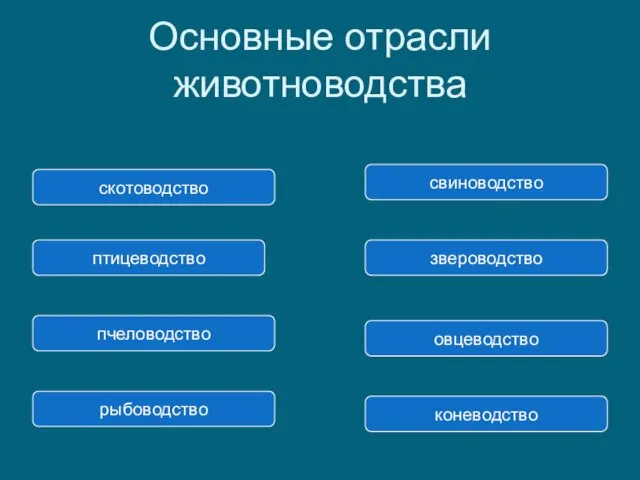 Основные отрасли животноводства скотоводство птицеводство свиноводство звероводство пчеловодство овцеводство рыбоводство коневодство