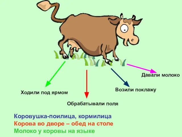 Ходили под ярмом Обрабатывали поля Возили поклажу Давали молоко Коровушка-поилица, кормилица Корова