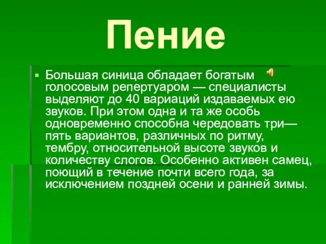 Пение Большая синица обладает богатым голосовым репертуаром — специалисты выделяют до 40