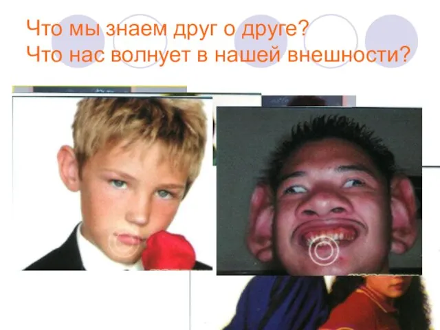 Что мы знаем друг о друге? Что нас волнует в нашей внешности?